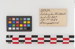 Etiketten zu Bronzepilzknaufschwert (NHMW-PRAE-025554)